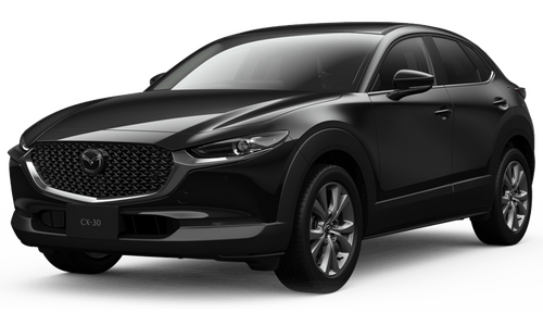 CX30 20S i Selection